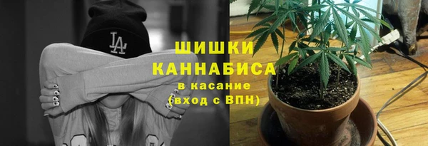 mdpv Арсеньев