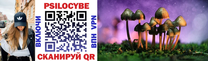 Галлюциногенные грибы Cubensis OMG как войти Волхов