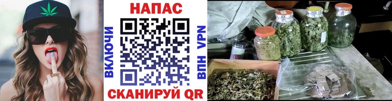 Канабис семена купить наркотики цена MEGA ТОР Волхов